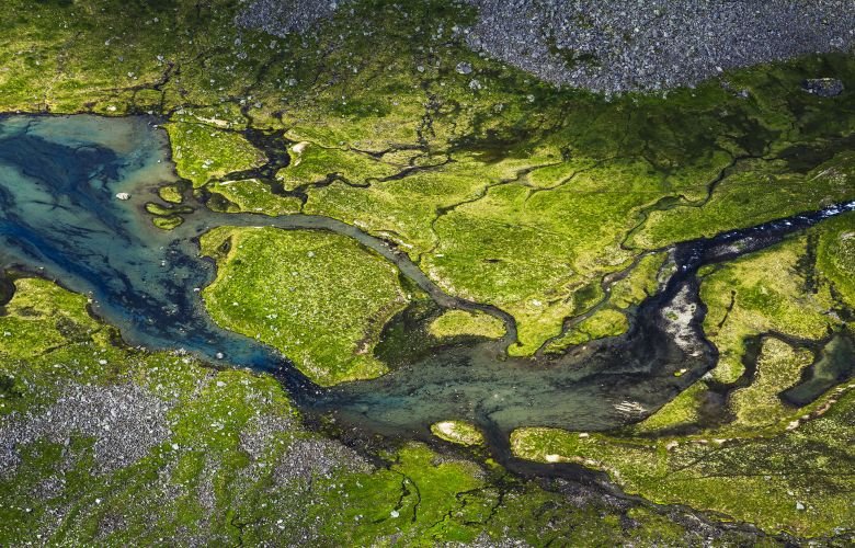 Water and Biodiversity: One Future for the Mediterranean
