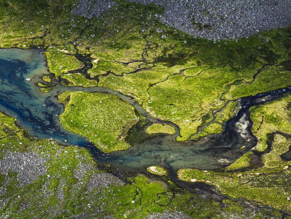 Water and Biodiversity: One Future for the Mediterranean